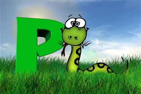 Dream of Snakes Meaning - NuvoraDream - DreamDecode-DreamDecode