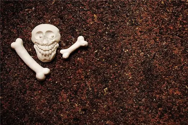 Dream of Bones Meaning and Interpretation - NuvoraDream