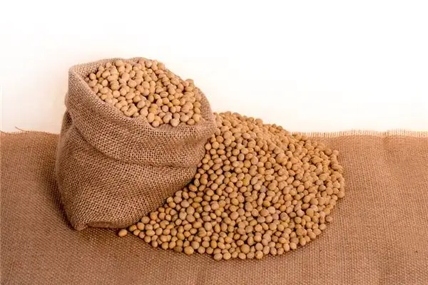 Dreaming of Beans Meaning and Interpretation - NuvoraDream - DreamDecode-DreamDecode