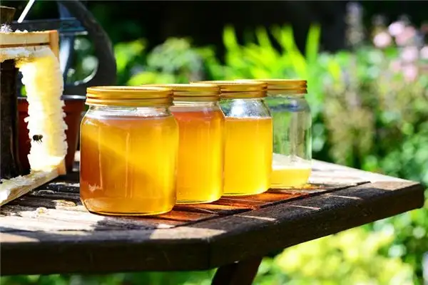 Dreaming of Honey Meaning and Interpretation - NuvoraDream - DreamDecode-DreamDecode