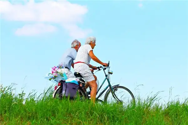 Dream of the God of Longevity Meaning and Interpretation