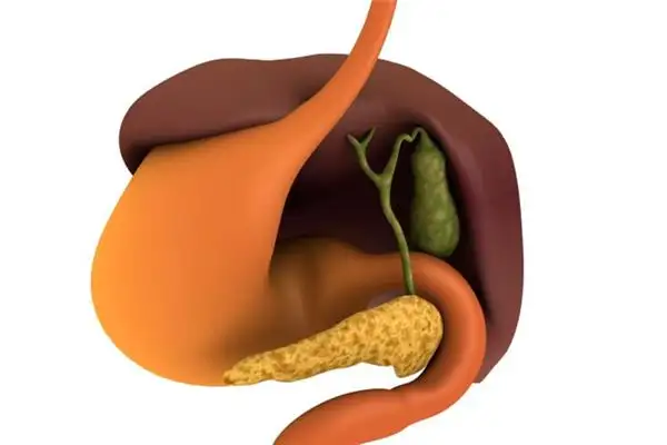 Dream Interpretation of Gallbladder in Nuvoradream