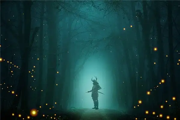Dream Meaning of a Samurai NuvoraDream