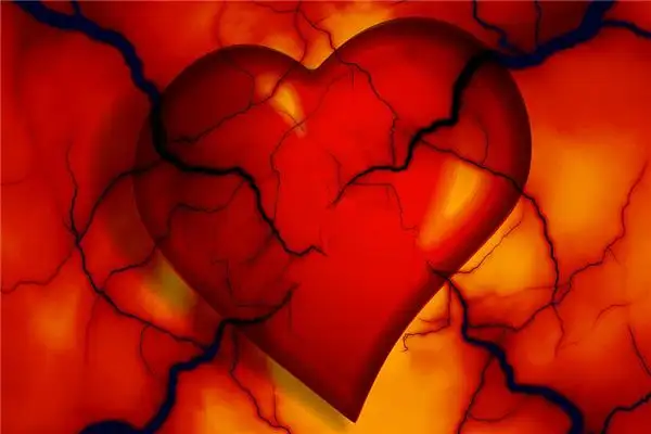 Dream Interpretation of Seeing an Artery in Your Sleep | NuvoraDream