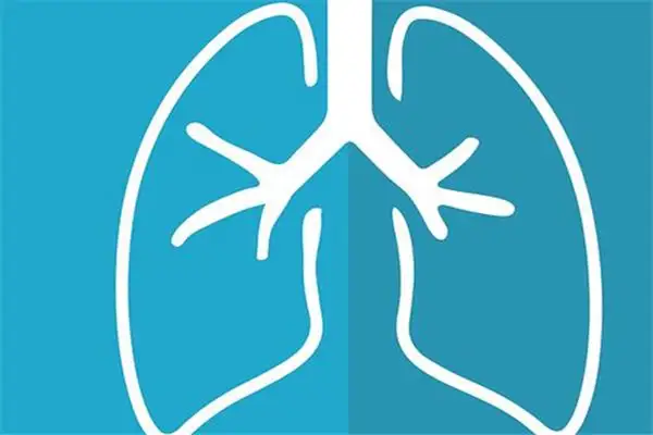 Dream of Lungs Meaning and Interpretation - NuvoraDream