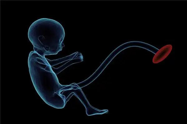 Dream Interpretation of Umbilical Cord Meaning and Symbolism