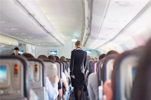 Dream of a Flight Attendant Meaning and Interpretation - NuvoraDream