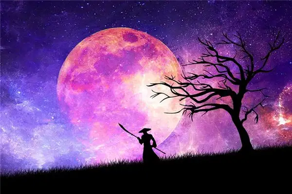Dream of a Swordsman Meaning and Interpretation - NuvoraDream