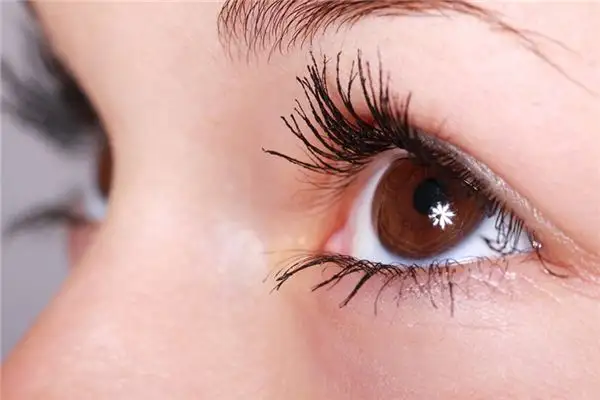 Dreaming of Eyebrows Meaning and Interpretation - NuvoraDream