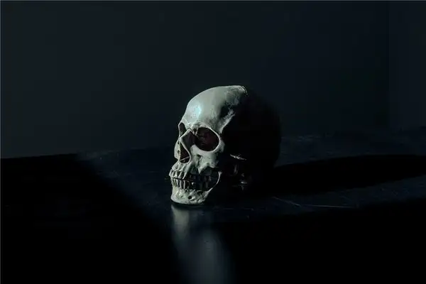 Dream Interpretation of Skull - NuvoraDream
