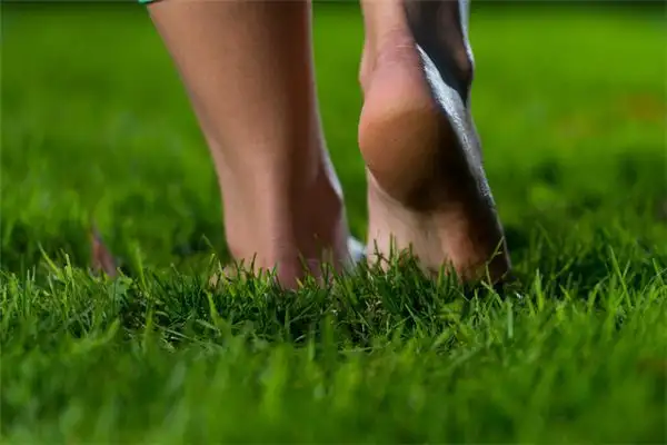 Dreaming of Heels Meaning and Interpretation - NuvoraDream - DreamDecode-DreamDecode