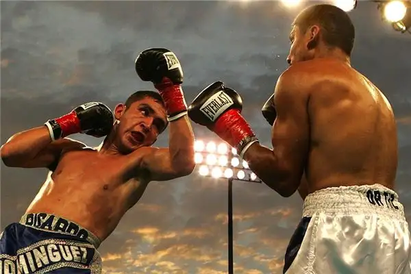 Dreaming of a Professional Boxer Meaning and Interpretation - NuvoraDream