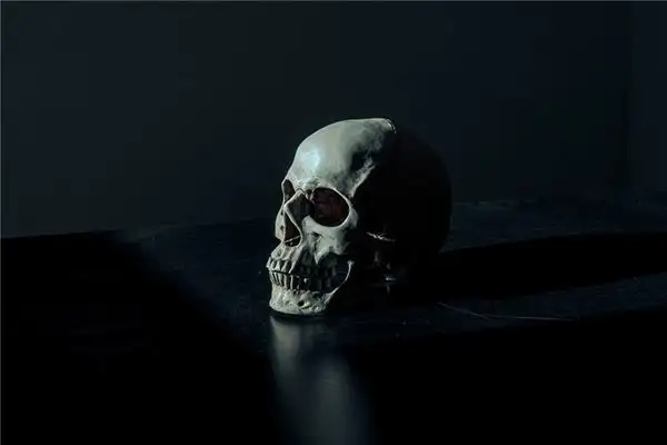 Dream Interpretation of Seeing Skeletons - NuvoraDream