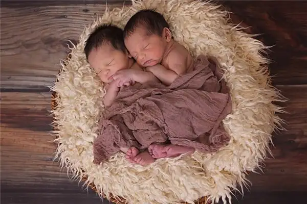 Dreaming of a Twin Brother Meaning and Interpretation - NuvoraDream