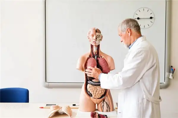 Dream Interpretation of Seeing Internal Organs - NuvoraDream