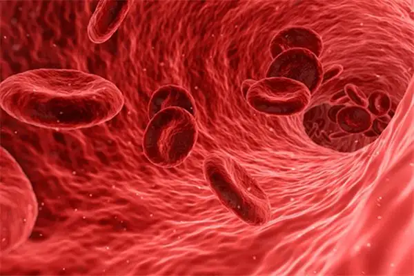 Dream Interpretation of Seeing Veins in Your Sleep NuvoraDream