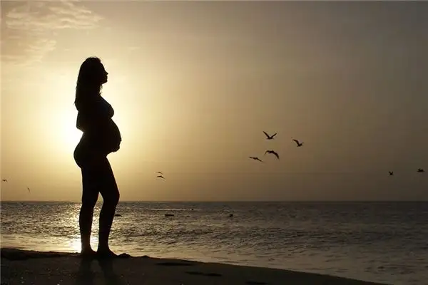 Pregnancy Dream Meaning Interpretation - NuvoDream