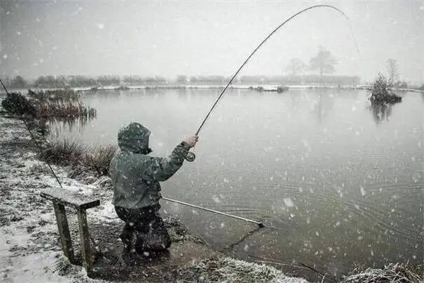 Dreaming of Fishing Meaning and Interpretation - NuvoraDream