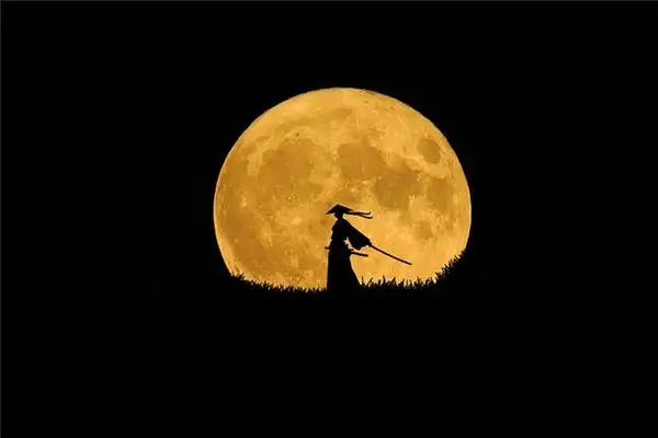 Dream of a Swordsman Meaning and Interpretation - NuvoraDream