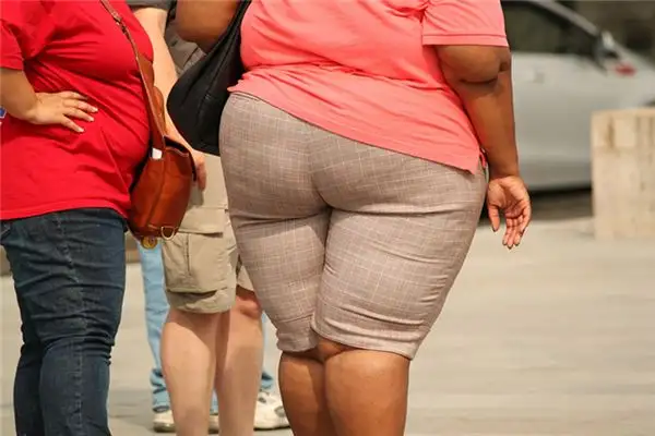 Dream Interpretation of Seeing a Fat Woman - NuvoraDream