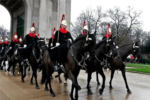 Dreaming of a Military Parade Meaning and Interpretation - NuvoraDream