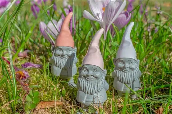 Dream Interpretation of Seeing Dwarfs - NuvoraDream