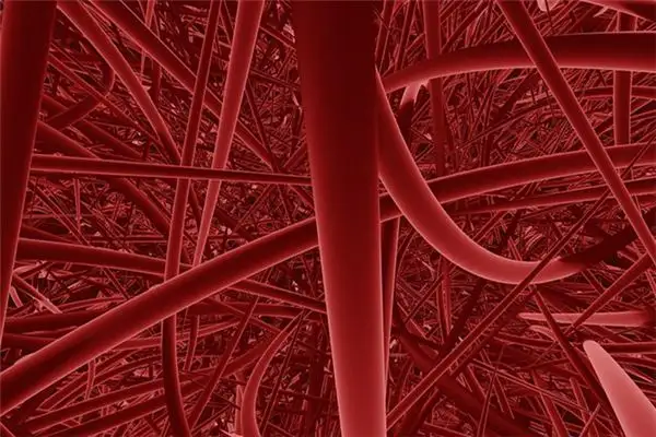 Dreaming About Blood Vessels Meaning and Interpretation - NuvoraDream