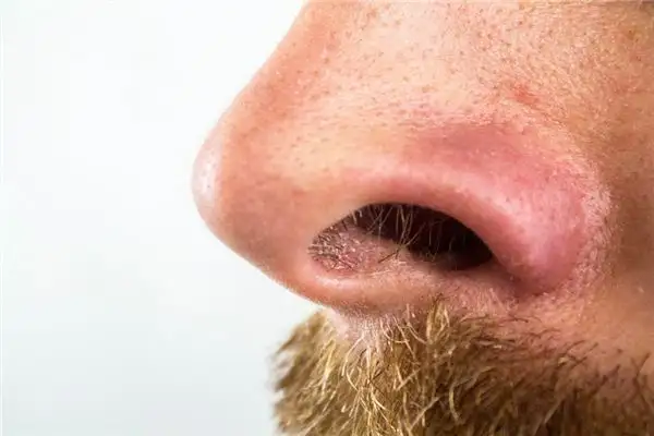 Dream Interpretation Nose Hair Meaning - NuvoraDream - DreamDecode-DreamDecode