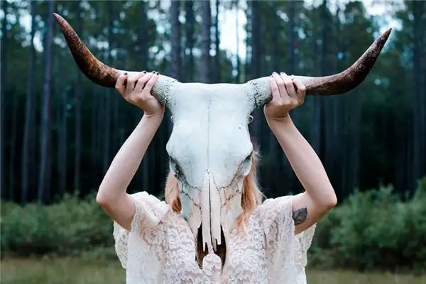 Dreaming of Horns on Head - Nuvora Dream Interpretation