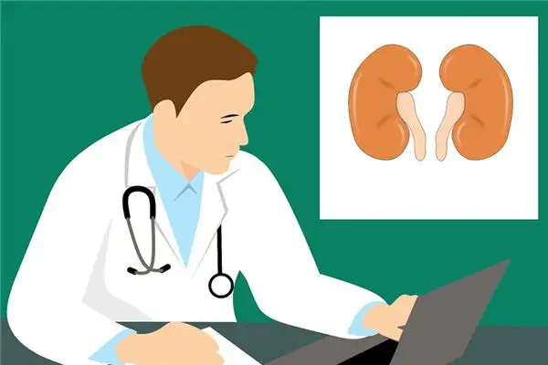 Dreaming of Kidneys Meaning and Interpretation - NuvoraDream