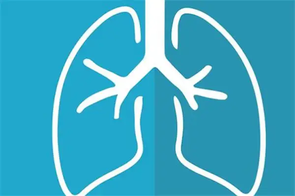Dream Interpretation of Lungs in Dreams - NuvoraDream