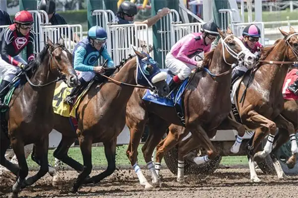 Dreaming of a Jockey Meaning and Interpretation - NuvoraDream