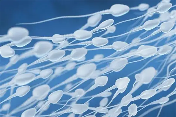 Dream Interpretation of Sperm in Your Sleep