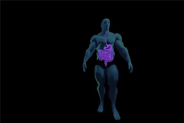 Dream Interpretation Stomach and Intestines Meaning on NuvoraDream