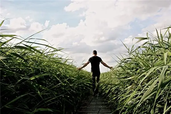 Dreaming of Growing Taller - Nuvora Dream Interpretation