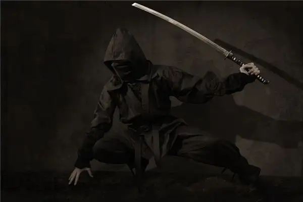Dream of Assassin Meaning and Interpretation - NuvoraDream