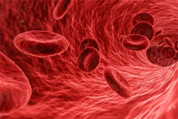 Dreaming of Blood Meaning and Interpretation - NuvoraDream