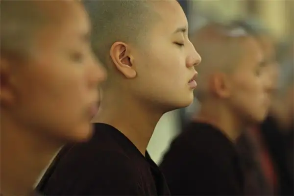 Dream of a Female Monk Meaning and Interpretation - NuvoraDream