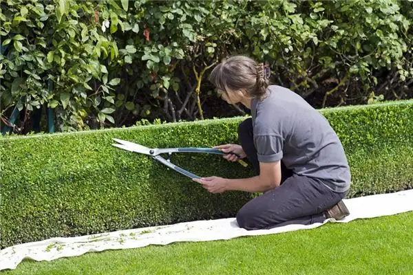 Dreaming of a Gardener Meaning and Interpretation - NuvoraDream