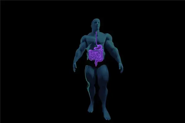 Dream Interpretation of Seeing Intestines - NuvoraDream