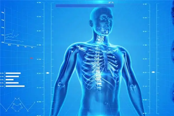 Dream Interpretation Bone Marrow Meaning and Symbolism