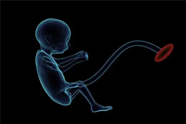 Dream Interpretation of Fetus in Dreams - NuvoraDream