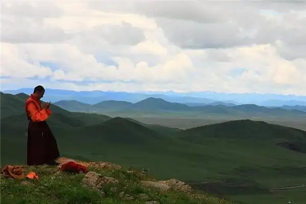 Dreaming of a Lama Meaning and Interpretation - NuvoraDream