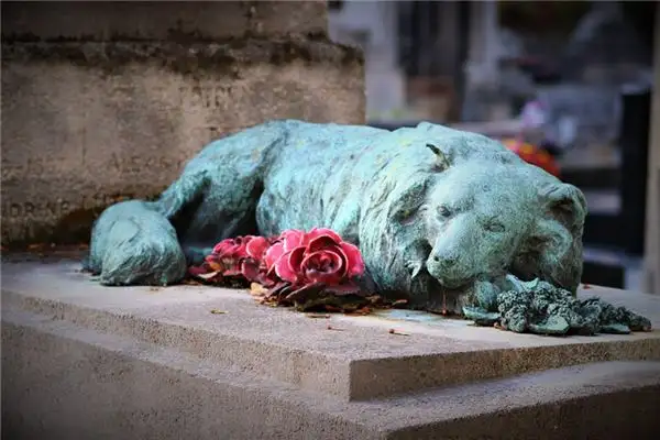 Dream Interpretation Martyr Meaning in Your Dreams NuvoraDream