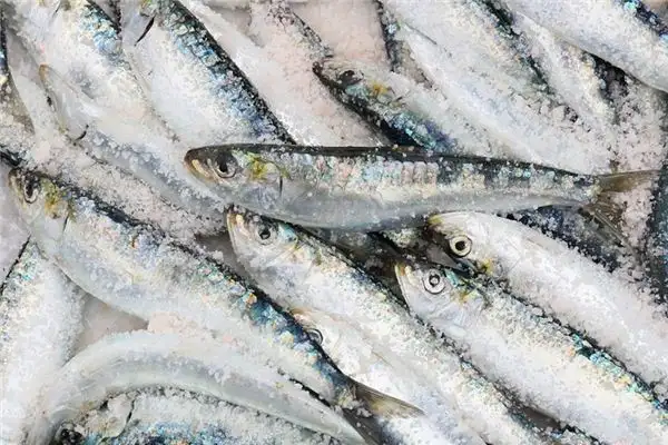 Dream of Sardines Meaning - NuvoraDream Interpretation - DreamDecode-DreamDecode