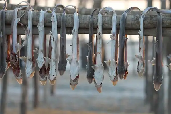 Dream Interpretation of Dried Fish in Your Sleep - DreamDecode-DreamDecode