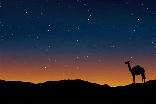 Dream Interpretation of a Dromedary Camel on NuvoraDream - DreamDecode-DreamDecode