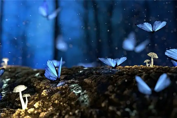 Dream Interpretation of Moths in Your Sleep NuvoraDream - DreamDecode-DreamDecode