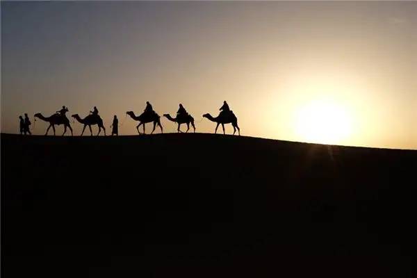 Dreaming of Riding a Camel Meaning and Interpretation - NuvoraDream - DreamDecode-DreamDecode