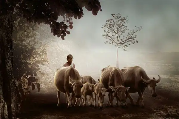 Dream of a Cow Grazing Meaning and Interpretation - NuvoraDream